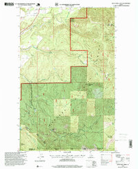Download a high-resolution, GPS-compatible USGS topo map for Twentymile Creek, ID (1999 edition)