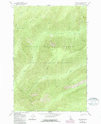 Download a high-resolution, GPS-compatible USGS topo map for Twin Butte, ID (1987 edition)