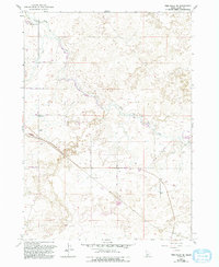 Download a high-resolution, GPS-compatible USGS topo map for Twin Falls NE, ID (1993 edition)