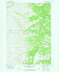 preview thumbnail of historical topo map of Adams County, ID in 1970