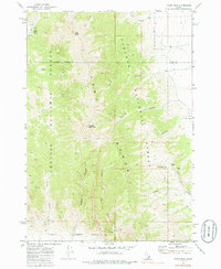Download a high-resolution, GPS-compatible USGS topo map for Tyler Peak, ID (1988 edition)