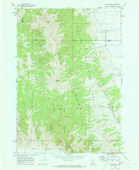 Download a high-resolution, GPS-compatible USGS topo map for Tyler Peak, ID (1973 edition)