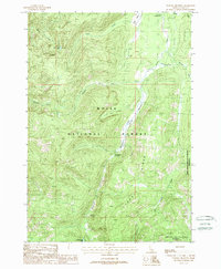 Download a high-resolution, GPS-compatible USGS topo map for Tyndall Meadows, ID (1988 edition)