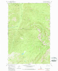 Download a high-resolution, GPS-compatible USGS topo map for Wahoo Peak, ID (1987 edition)
