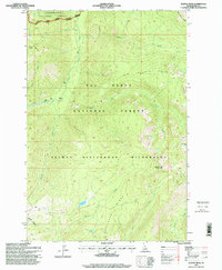 Download a high-resolution, GPS-compatible USGS topo map for Wahoo Peak, ID (1999 edition)