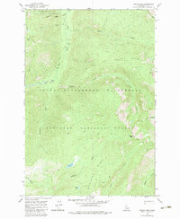 Download a high-resolution, GPS-compatible USGS topo map for Wahoo Peak, ID (1983 edition)