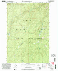 Download a high-resolution, GPS-compatible USGS topo map for Wapiti Creek, ID (2007 edition)