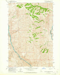 Download a high-resolution, GPS-compatible USGS topo map for Wapshilla Creek, ID (1965 edition)
