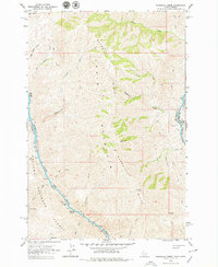 Download a high-resolution, GPS-compatible USGS topo map for Wapshilla Creek, ID (1979 edition)