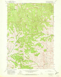 Download a high-resolution, GPS-compatible USGS topo map for Wards Butte, ID (1972 edition)