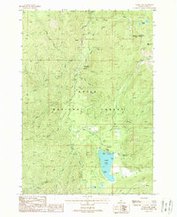 Download a high-resolution, GPS-compatible USGS topo map for Warm Lake, ID (1988 edition)