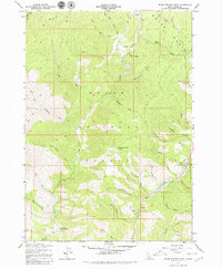 Download a high-resolution, GPS-compatible USGS topo map for Warm Springs Point, ID (1979 edition)