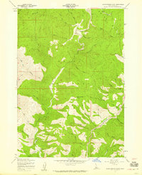 Download a high-resolution, GPS-compatible USGS topo map for Warm Springs Point, ID (1959 edition)