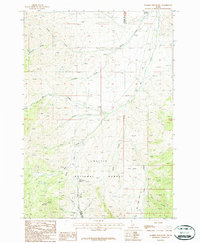 preview thumbnail of historical topo map of Custer County, ID in 1987
