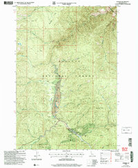 Download a high-resolution, GPS-compatible USGS topo map for Warren, ID (2007 edition)