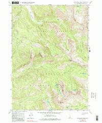 Download a high-resolution, GPS-compatible USGS topo map for Washington Peak, ID (1990 edition)