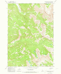 Download a high-resolution, GPS-compatible USGS topo map for Washington Peak, ID (1973 edition)