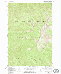 Download a high-resolution, GPS-compatible USGS topo map for Watchtower Peak, ID (1994 edition)