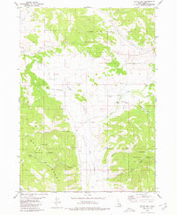 Download a high-resolution, GPS-compatible USGS topo map for Wayan East, ID (1980 edition)