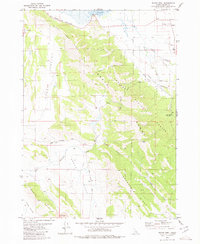 Download a high-resolution, GPS-compatible USGS topo map for Wayan West, ID (1980 edition)