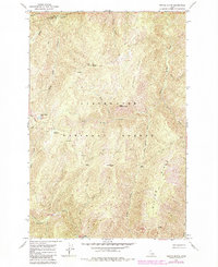 Download a high-resolution, GPS-compatible USGS topo map for Weitas Butte, ID (1984 edition)