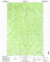 preview thumbnail of historical topo map of Clearwater County, ID in 1994