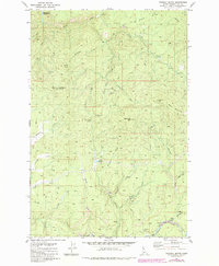 Download a high-resolution, GPS-compatible USGS topo map for Whiskey Butte, ID (1984 edition)