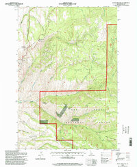 Download a high-resolution, GPS-compatible USGS topo map for White Bird Hill, ID (1999 edition)