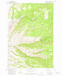 Download a high-resolution, GPS-compatible USGS topo map for White Bird Hill, ID (1982 edition)