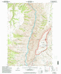 Download a high-resolution, GPS-compatible USGS topo map for White Bird, ID (1999 edition)