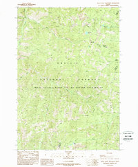 Download a high-resolution, GPS-compatible USGS topo map for White Goat Mountain, ID (1989 edition)