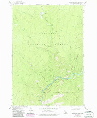 Download a high-resolution, GPS-compatible USGS topo map for Whitewater Ranch, ID (1987 edition)