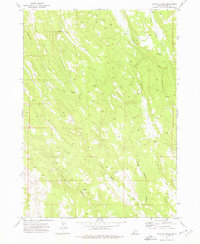preview thumbnail of historical topo map of Owyhee County, ID in 1973