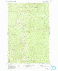 Download a high-resolution, GPS-compatible USGS topo map for Widow Mtn, ID (1993 edition)