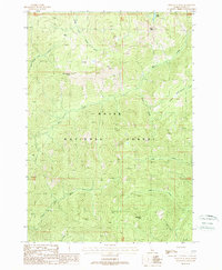 Download a high-resolution, GPS-compatible USGS topo map for Wild Buck Peak, ID (1988 edition)