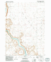 Download a high-resolution, GPS-compatible USGS topo map for Wild Horse Butte, ID (1992 edition)