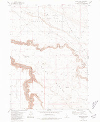Download a high-resolution, GPS-compatible USGS topo map for Winter Camp, ID (1981 edition)