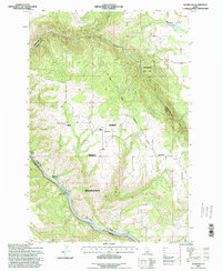 Download a high-resolution, GPS-compatible USGS topo map for Woodland, ID (1998 edition)