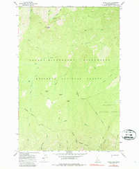Download a high-resolution, GPS-compatible USGS topo map for Wylies Peak, ID (1987 edition)