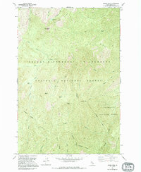 Download a high-resolution, GPS-compatible USGS topo map for Wylies Peak, ID (1995 edition)