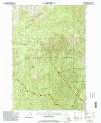 Download a high-resolution, GPS-compatible USGS topo map for Wylies Peak, ID (1999 edition)