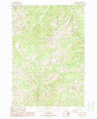 Download a high-resolution, GPS-compatible USGS topo map for Yellow Peak, ID (1989 edition)