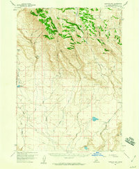 preview thumbnail of historical topo map of Elmore County, ID in 1958