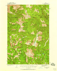 Download a high-resolution, GPS-compatible USGS topo map for Big Creek, ID (1958 edition)