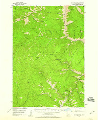 1950 Map of Blackbird Mtn, 1960 Print
