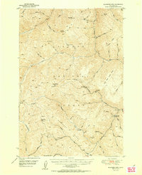 Download a high-resolution, GPS-compatible USGS topo map for Blackbird Mtn, ID (1951 edition)