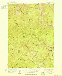 Download a high-resolution, GPS-compatible USGS topo map for Blackbird Mtn, ID (1951 edition)