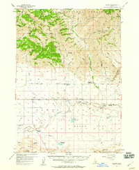 Download a high-resolution, GPS-compatible USGS topo map for Blaine, ID (1959 edition)