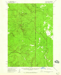 Download a high-resolution, GPS-compatible USGS topo map for Buffalo Lake, ID (1959 edition)