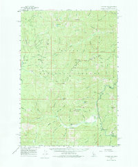 Download a high-resolution, GPS-compatible USGS topo map for Chinook Mtn, ID (1975 edition)